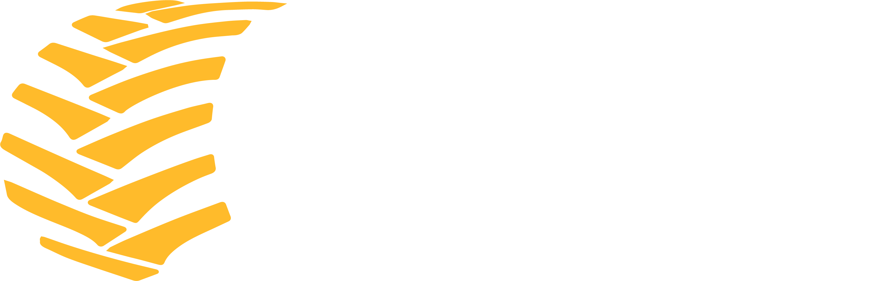 Cabgear